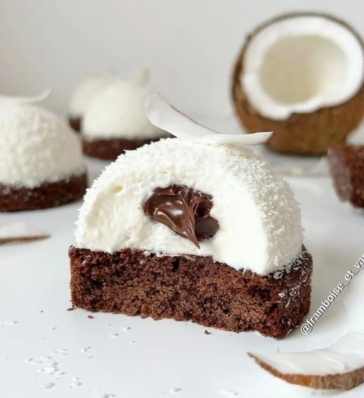 A Delightful Coconut Dome with Chocolate Spread