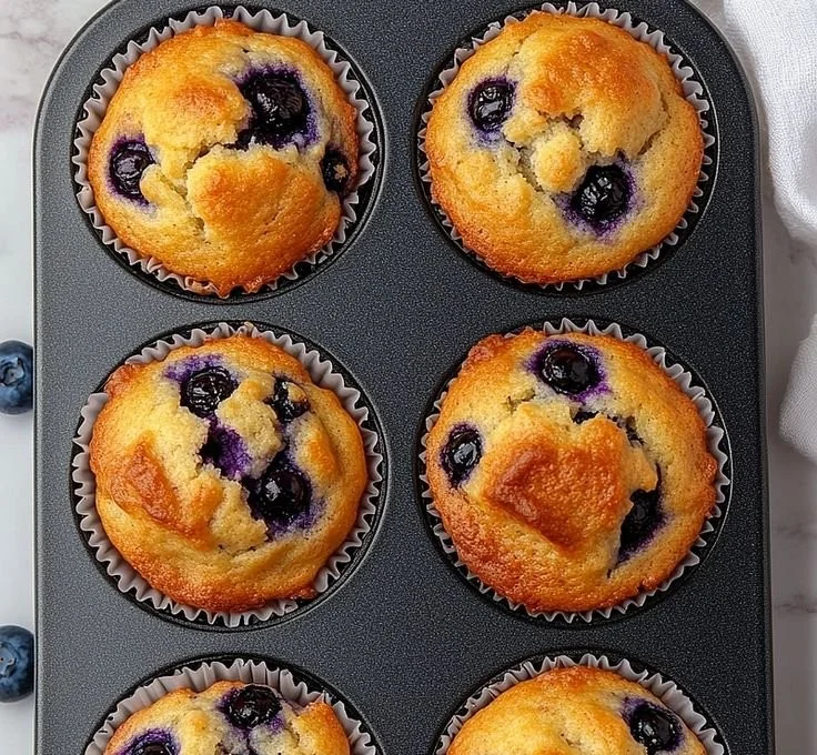 Hearty Blueberry Protein Muffins