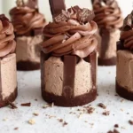 vegan mini cheesecakes 2026 04 17 212855 1