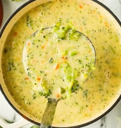 Creamy Chicken Alfredo
