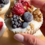 Frozen Yogurt Granola Cups 7 frozen yogurt granola cups 2026 05 11 210526 1