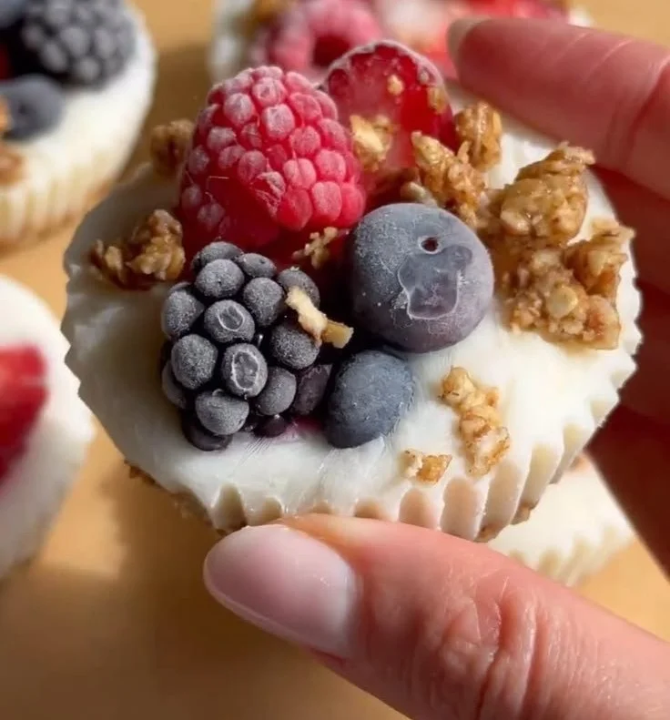 Frozen Yogurt Granola Cups 6 Frozen Yogurt Granola Cups